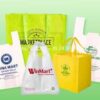 In Túi Nilon Giá Sỉ Theo Yêu Cầu 12 túi 2 quai